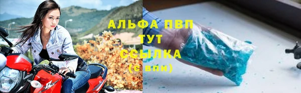 дмт Надым