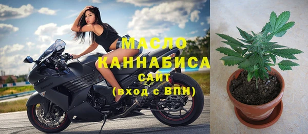винт Бикин