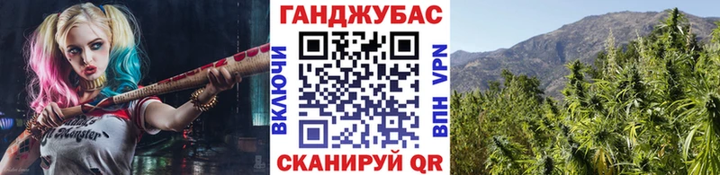 Шишки марихуана сатива  наркота  Карачев 